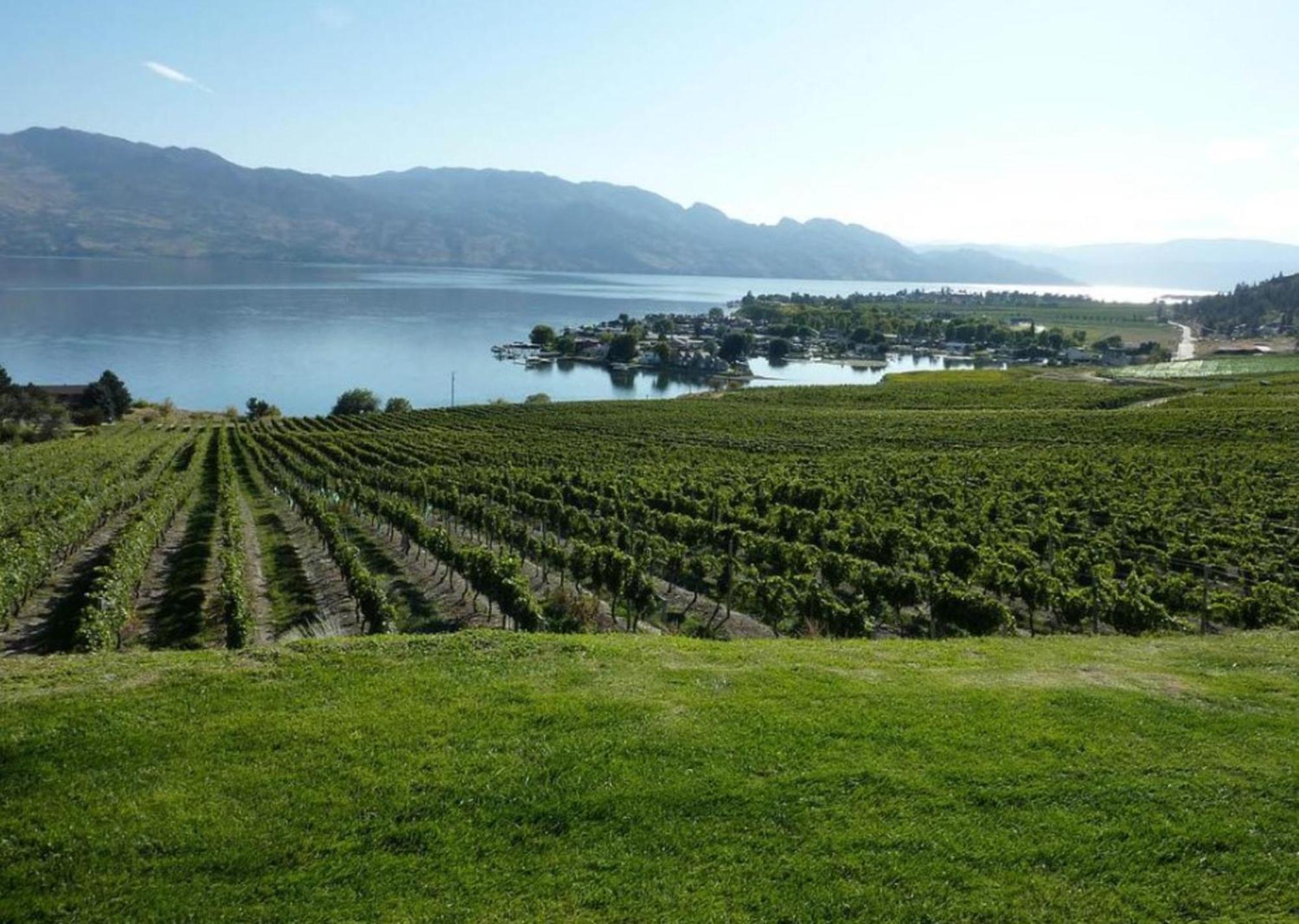 Holiday Inn Hotel & Suites Osoyoos By Ihg Екстериор снимка